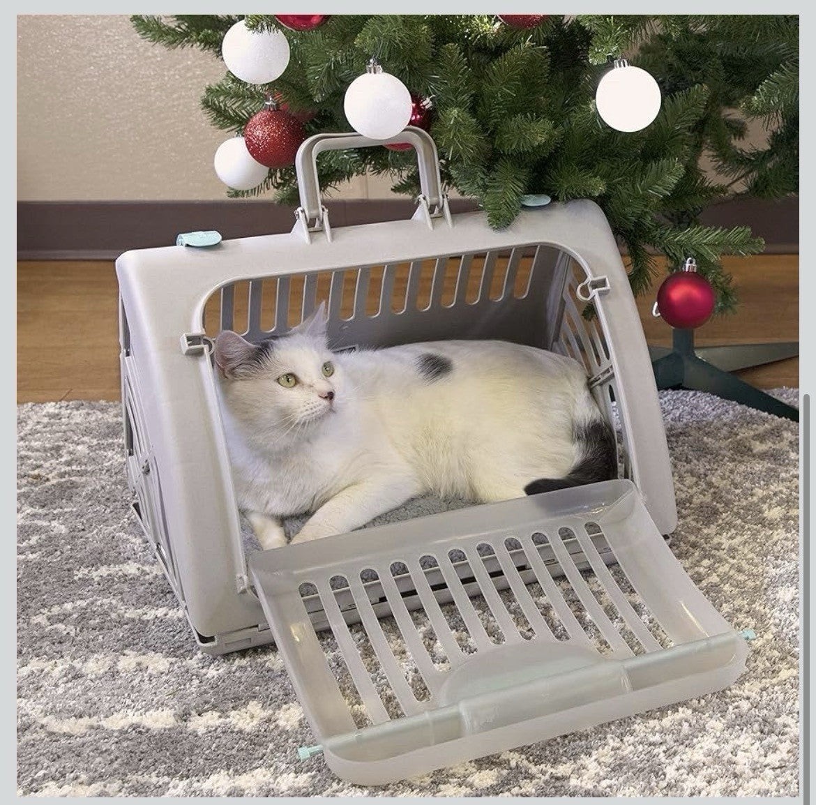 Foldable Plastic Travel Cat Carrier, for Pets 25 lb Limit, Gray