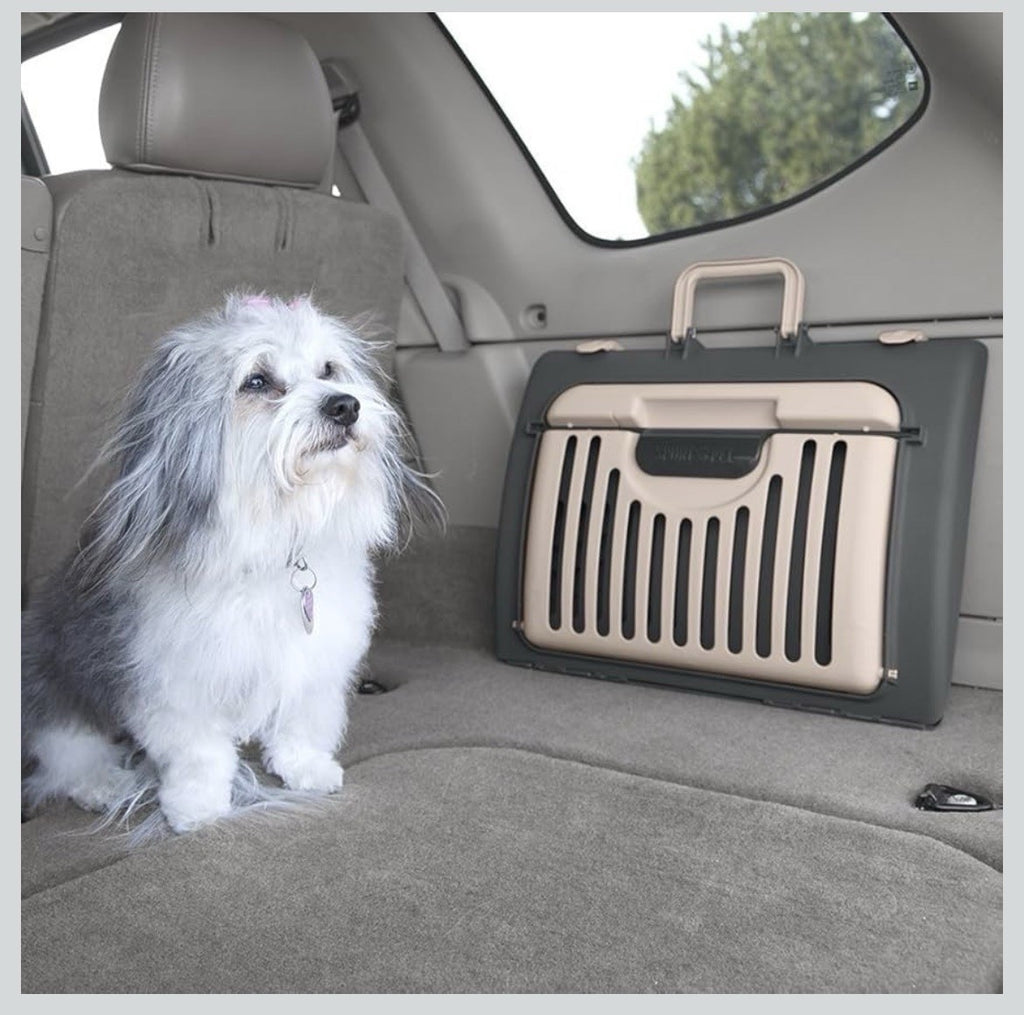 Foldable Plastic Travel Cat Carrier, for Pets 25 lb Limit, Gray