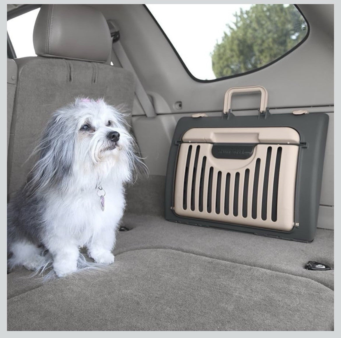 Foldable Plastic Travel Cat Carrier, for Pets 25 lb Limit, Gray