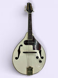 White Ibanez Mandolin for Sale – F-Style F-Holes + Roadrunner Gig Bag | Treasure Depot